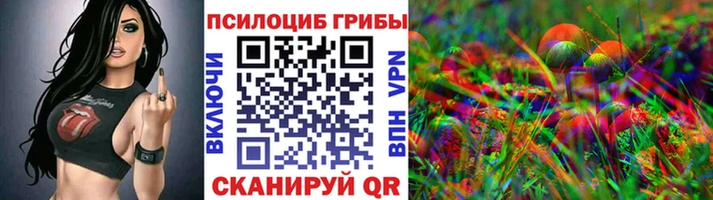 Псилоцибиновые грибы Psilocybine cubensis Нестеров